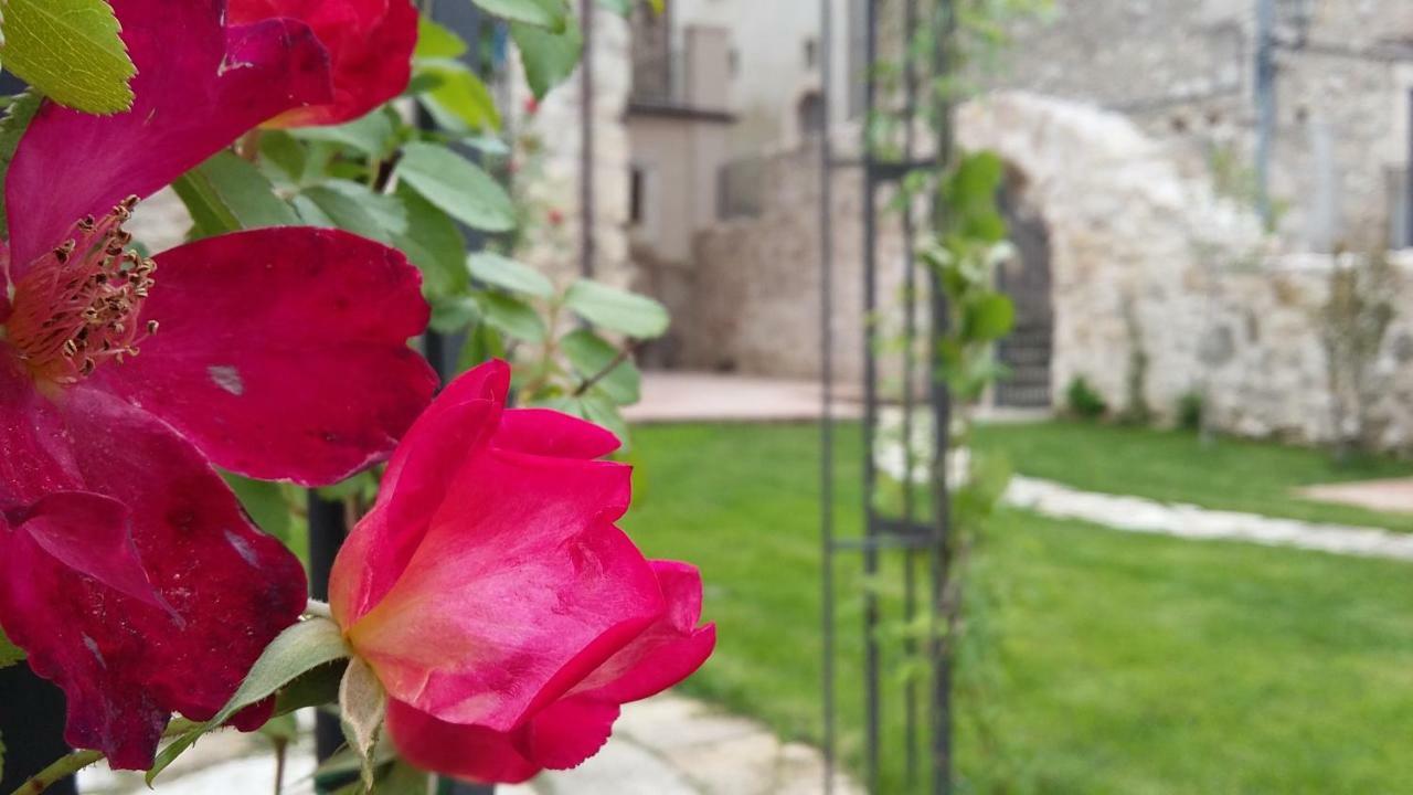 فيلا Alloggi Agrituristici Antica Dimora San Demetrio ne' Vestini المظهر الخارجي الصورة
